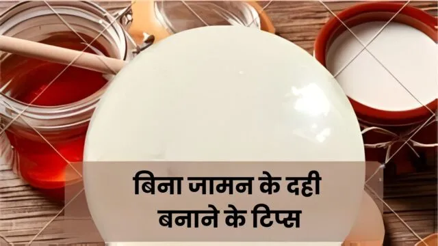 बिना जामन दही के दही कैसे जमाये | Prepare Curd without Curd Jaman in Hindi