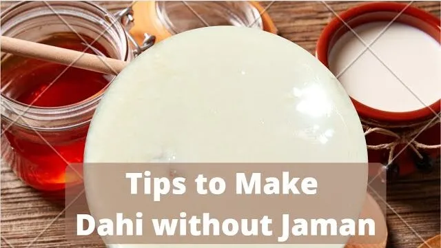 Make Dahi without Dahi Jaman | Yogurt without Yogurt culture | Prepare Curd Without Jaman by Rajashri Saxena