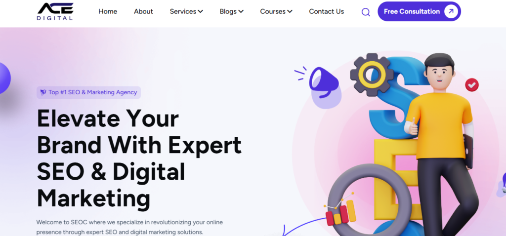 Ace Digital marketing agency Amritsar