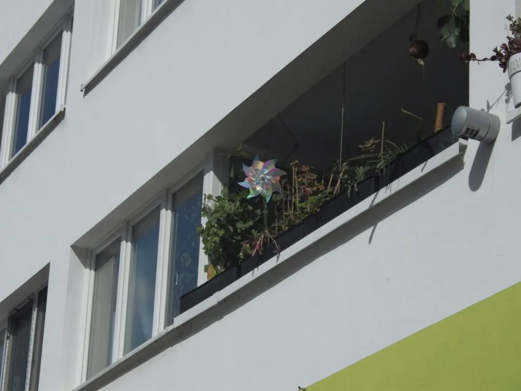 Balcony Garden Ideas for Indian Homes: Plants, Layouts and Care for Small Spaces