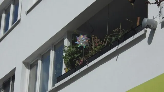 Balcony Garden Ideas for Indian Homes: Plants, Layouts and Care for Small Spaces