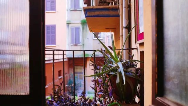 Balcony Garden Ideas for Indian Homes: Plants, Layouts and Care for Small Spaces