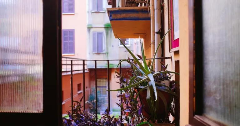 Balcony Garden Ideas for Indian Homes: Plants, Layouts and Care for Small Spaces